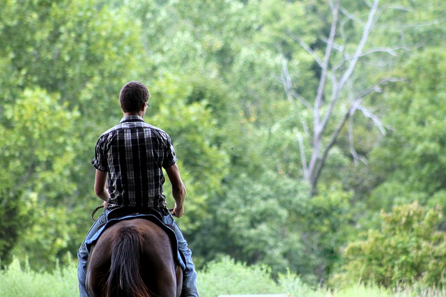 a man riding a horse