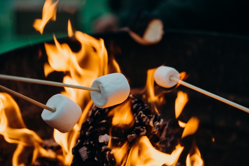 Roasting marshmallows over the fire